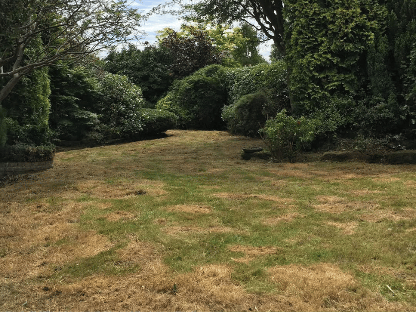 Clean garden project 6