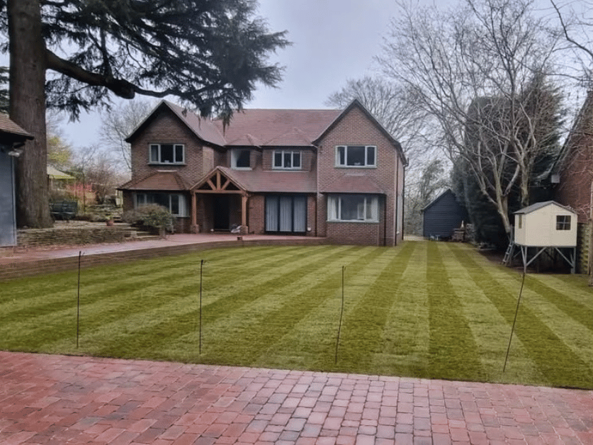 Clean garden project 7