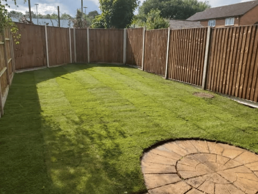 Clean garden project 8